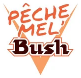 Logo Bush